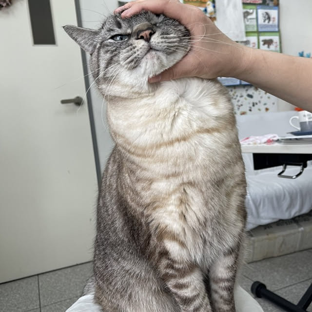 Manaさんの実例写真