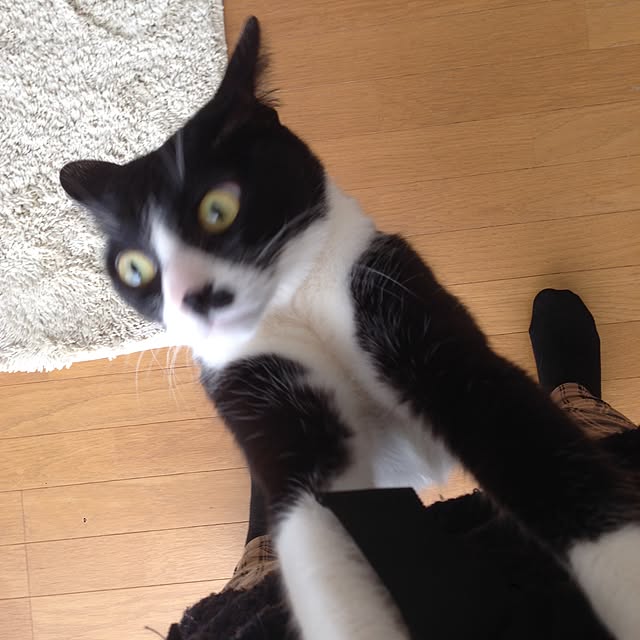 Kinanさんの実例写真