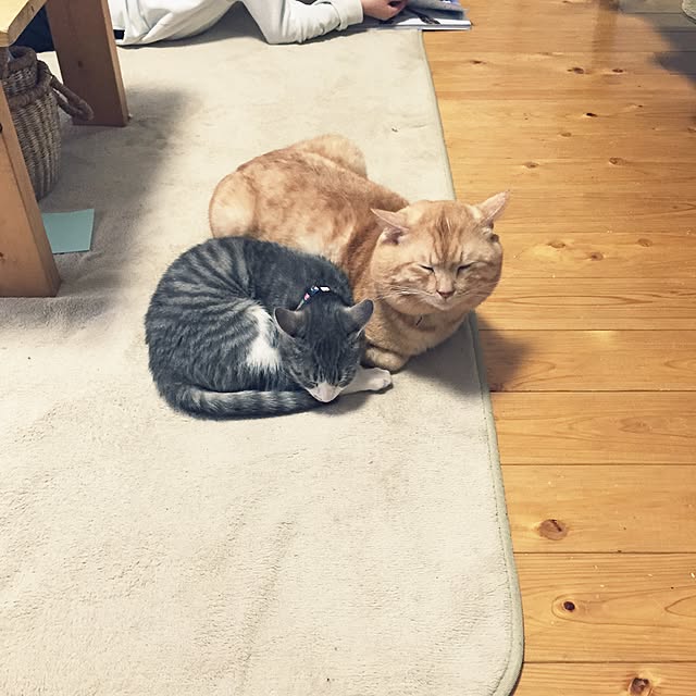 chiimalさんの実例写真