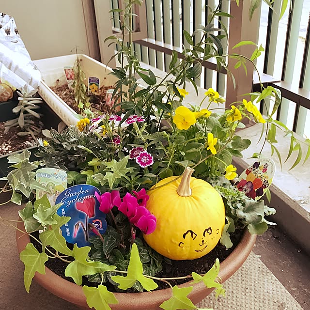 yukiさんの実例写真