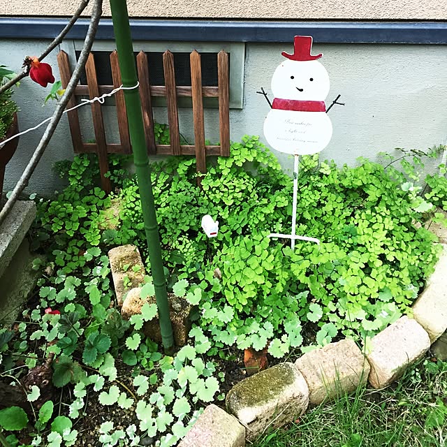 takakoさんの実例写真