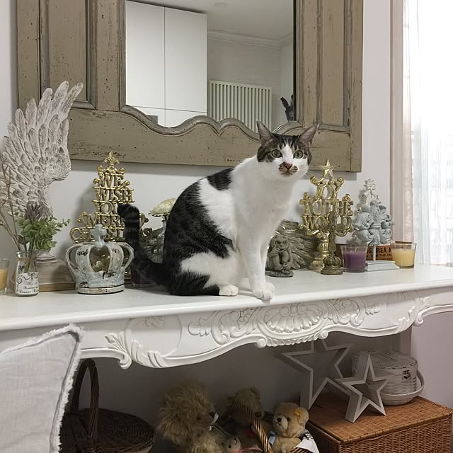 yuchiさんの実例写真