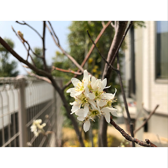 nono.0129さんの実例写真