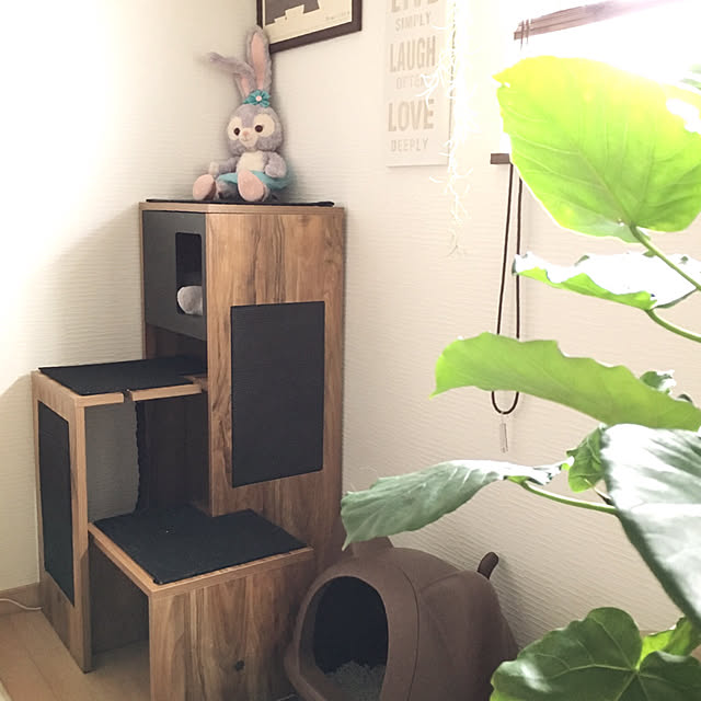 luna.comさんの実例写真