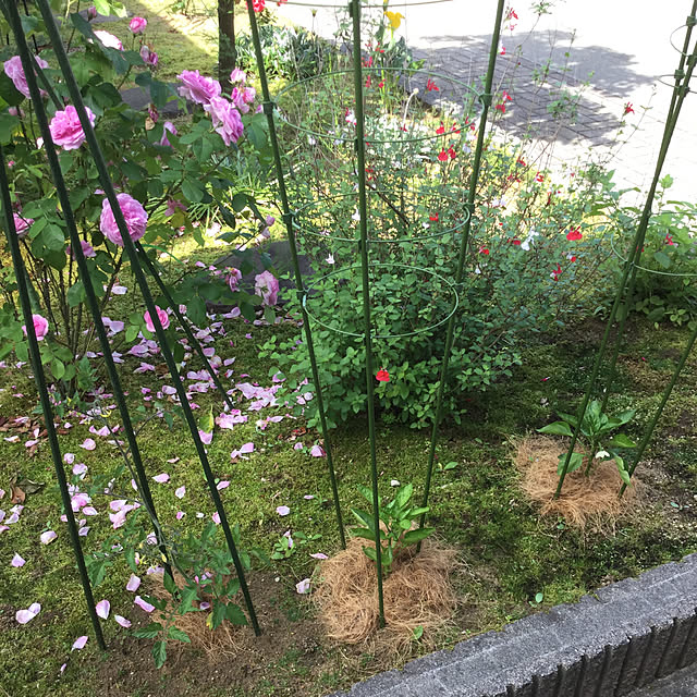 kakoさんの実例写真