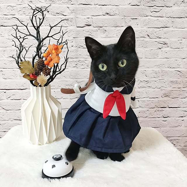 sakuraさんの部屋