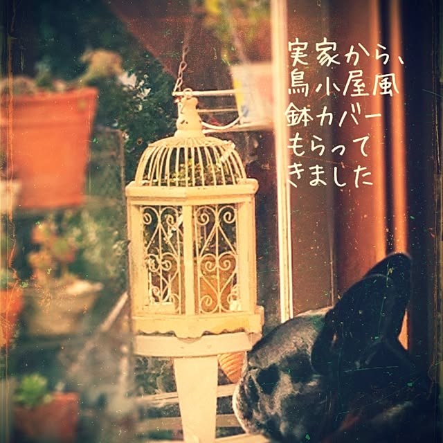 38coreさんの実例写真