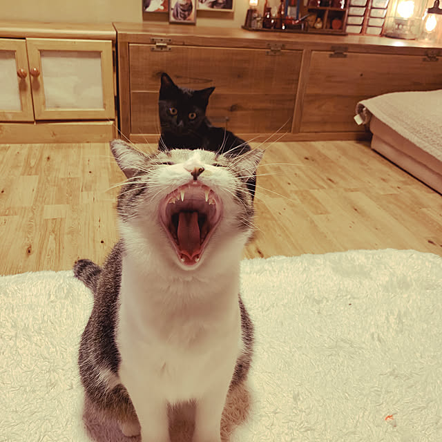 rioさんの実例写真