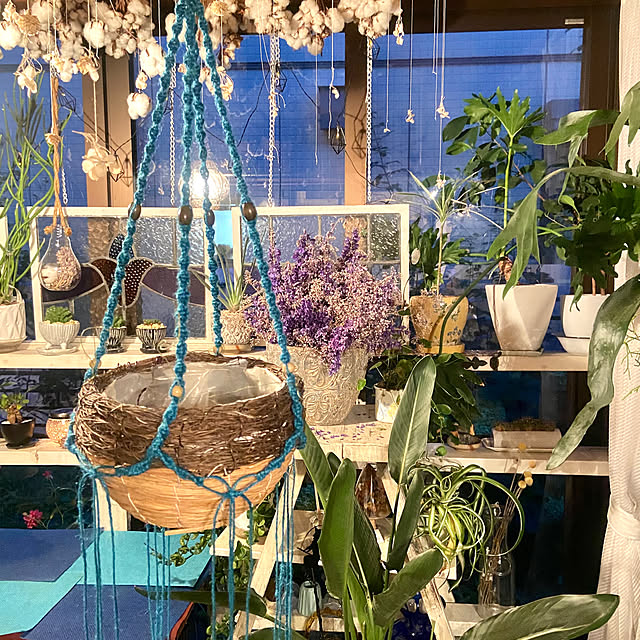 na-chanさんの部屋