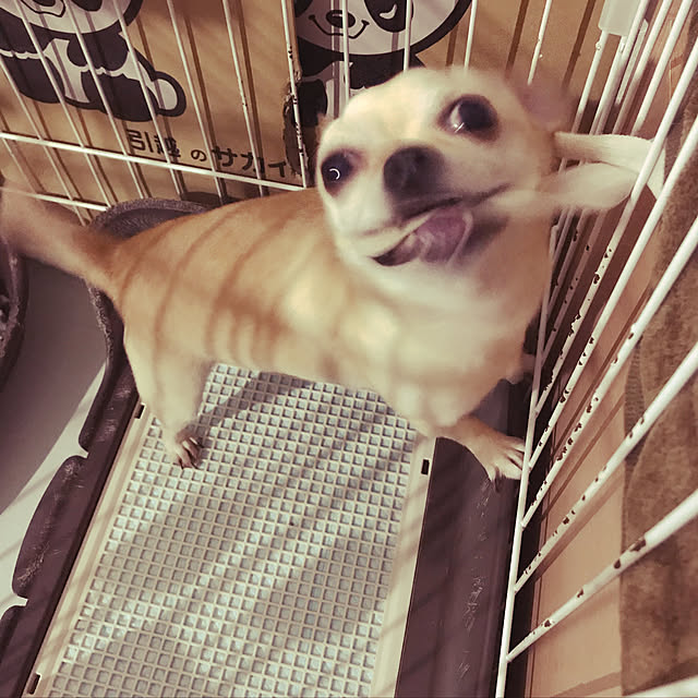 nacchintunnさんの実例写真