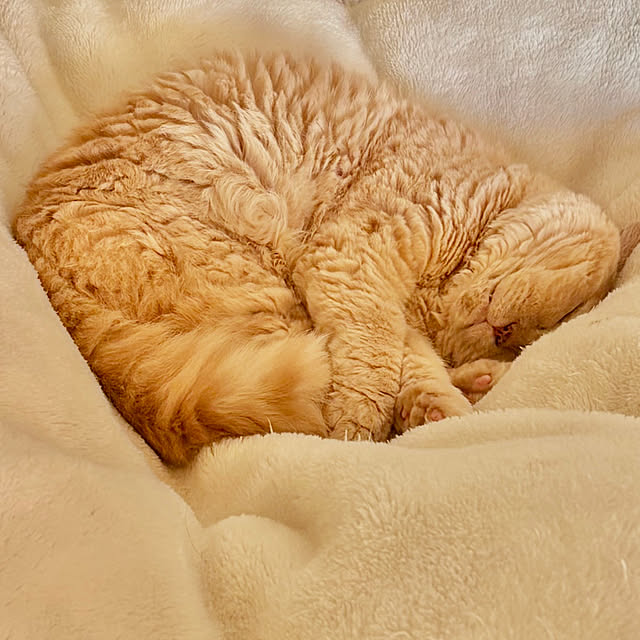 naokoさんの部屋