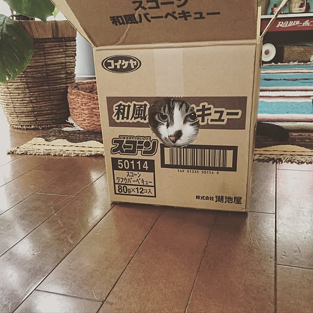 bowbowcoさんの実例写真