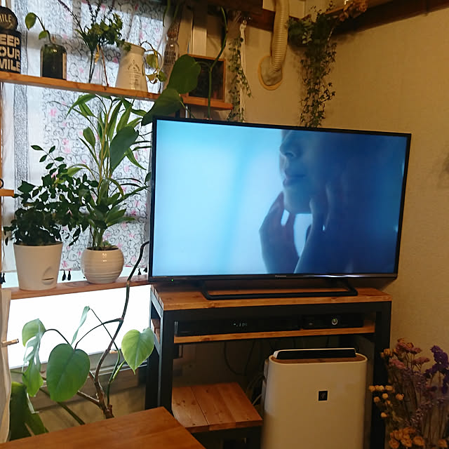部屋全体/DIY/観葉植物のインテリア実例 - 2019-08-30 20:50:04