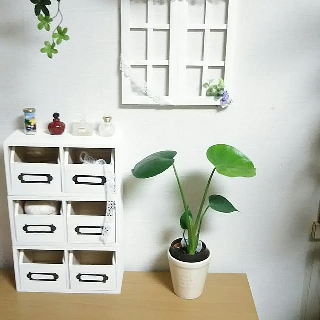naopyiさんの実例写真