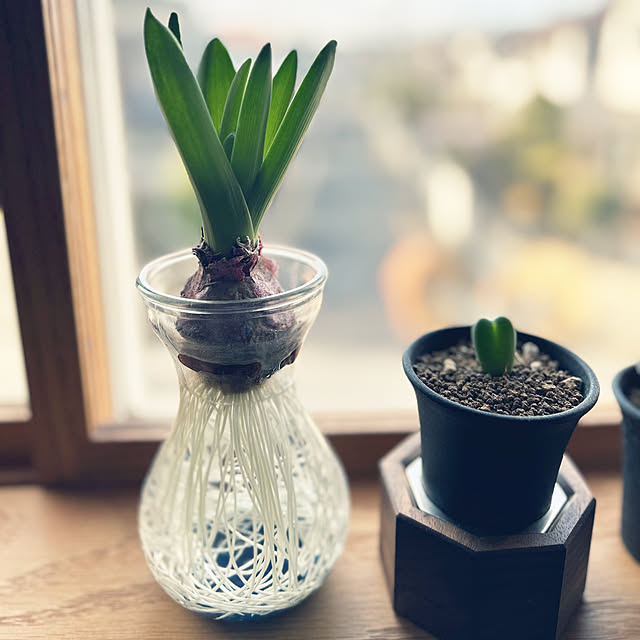 グリーン ガラスの花瓶のおすすめ商品とおしゃれな実例