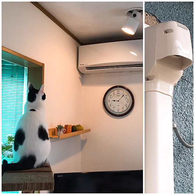 nobikoさんの実例写真