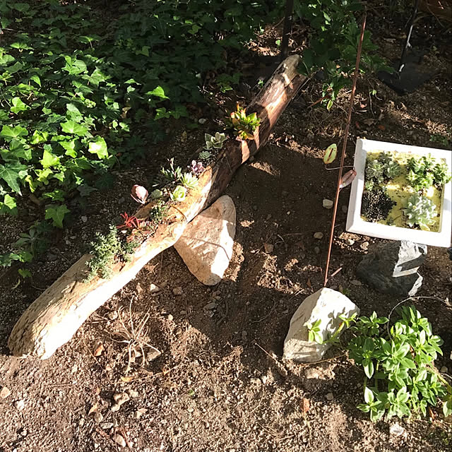 kohakuさんの実例写真