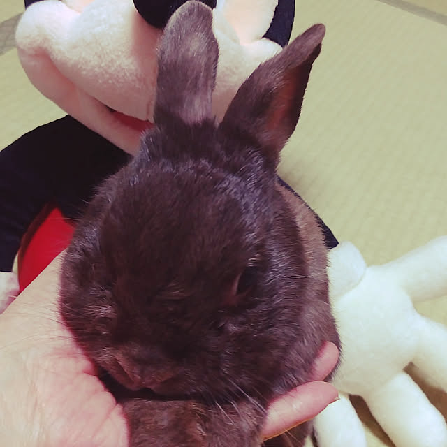 berryberryさんの実例写真