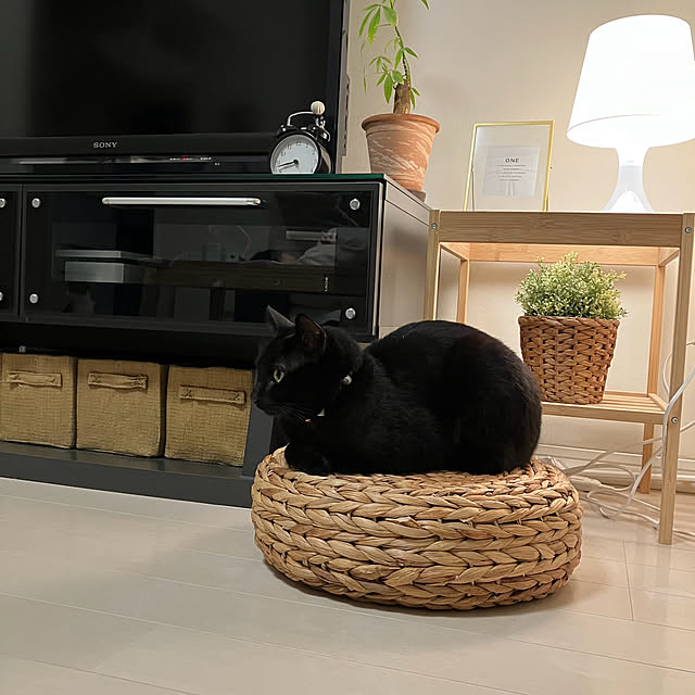 nekomiさんの部屋