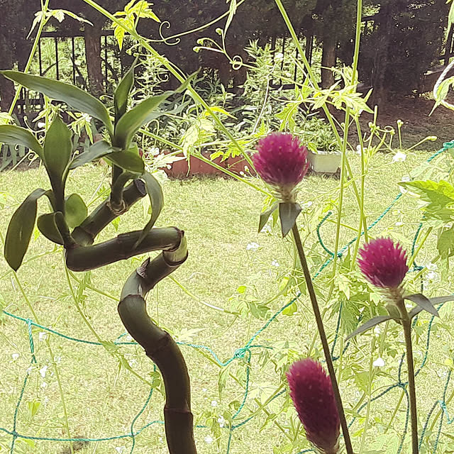 katさんの実例写真