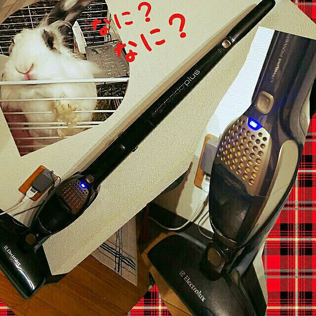 WASABIさんの実例写真