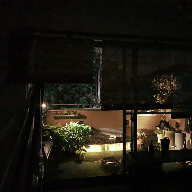 照明/カフェ風/観葉植物/ベッド周りのインテリア実例 - 2019-11-17 17:19:14
