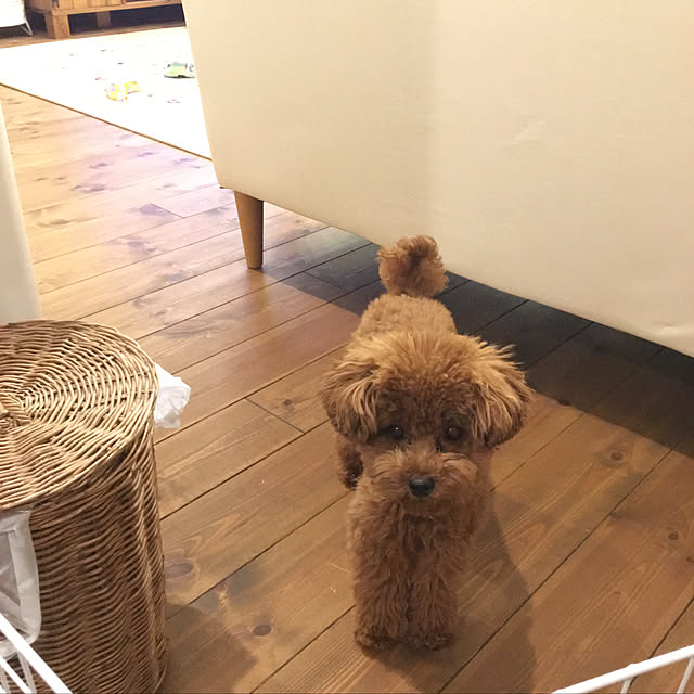 moeさんの実例写真