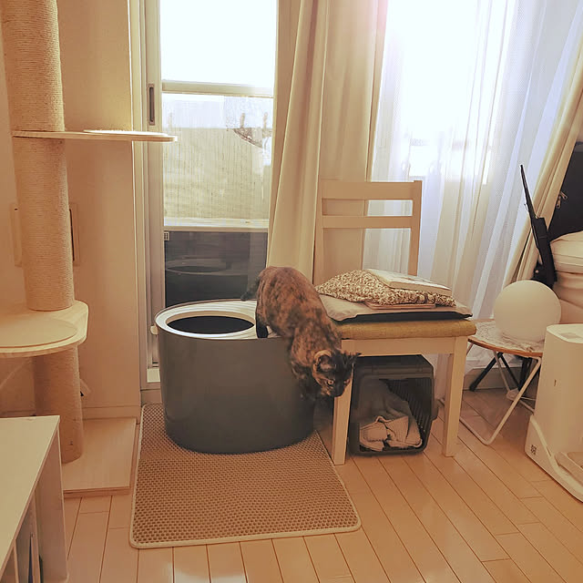 JIHYEさんの実例写真