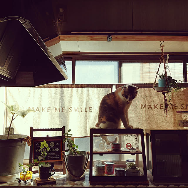 fukuさんの実例写真