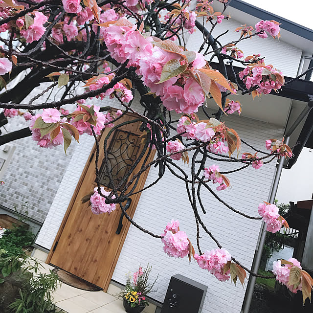 rizumu4649さんの実例写真