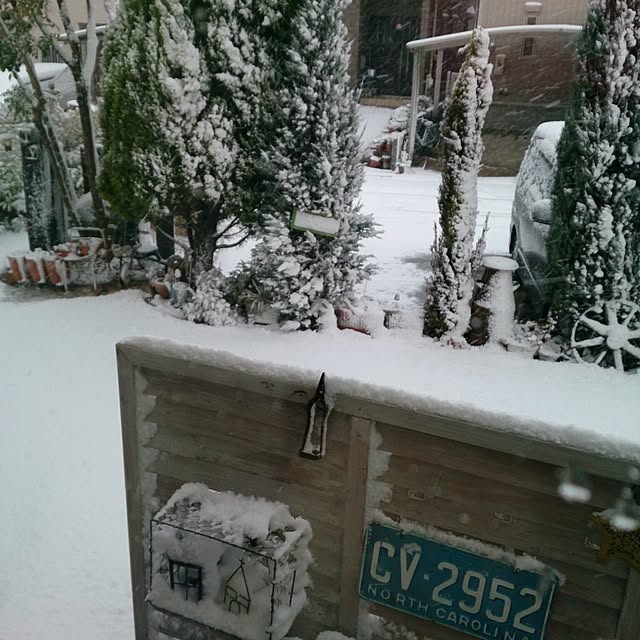 yumifuuさんの実例写真
