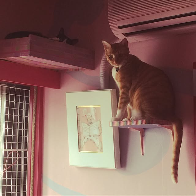 kimishigureさんの実例写真