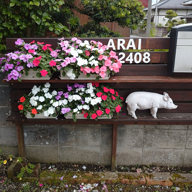 pineさんの実例写真