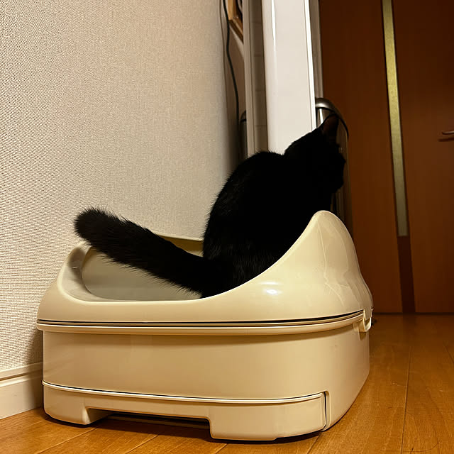 rioさんの部屋