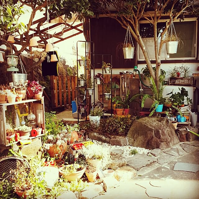 shihosamaさんの実例写真