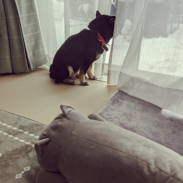 mimi6262さんの実例写真