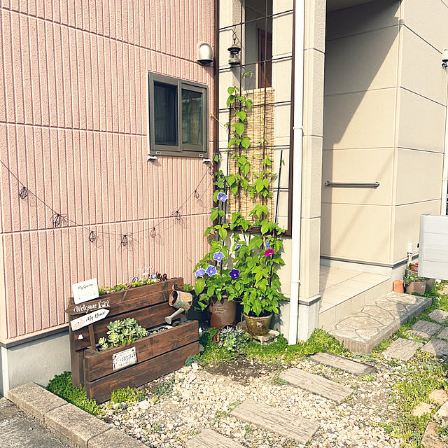 pekoさんの部屋