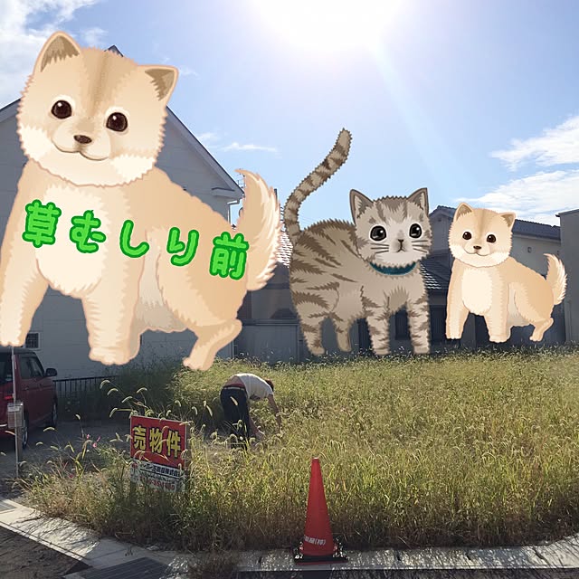 sallyさんの実例写真