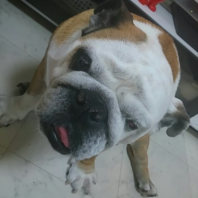 AandPさんの実例写真