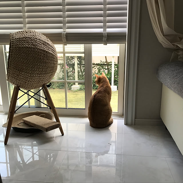 miyuさんの実例写真