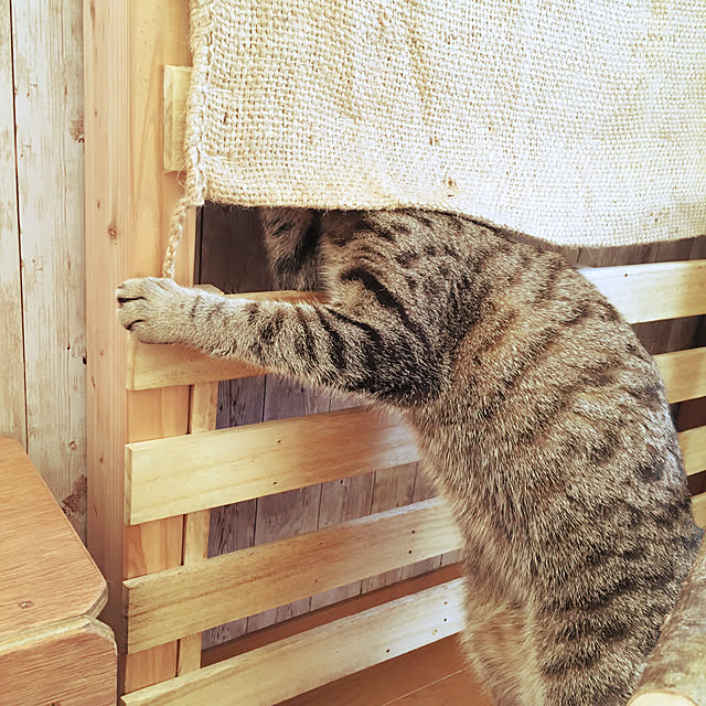 Mさんの実例写真