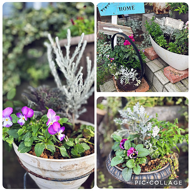 CoCo0617さんの部屋