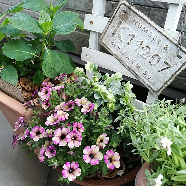 teruminさんの部屋