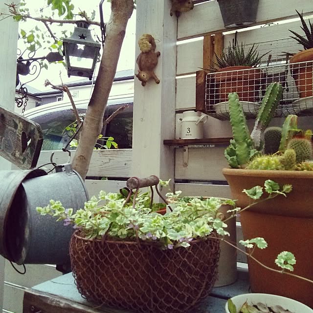 sawapuさんの実例写真