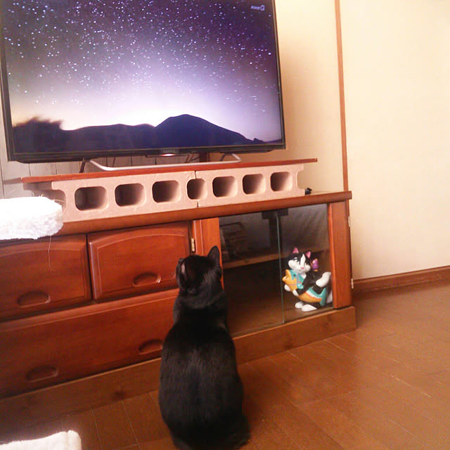 Tomopさんの実例写真