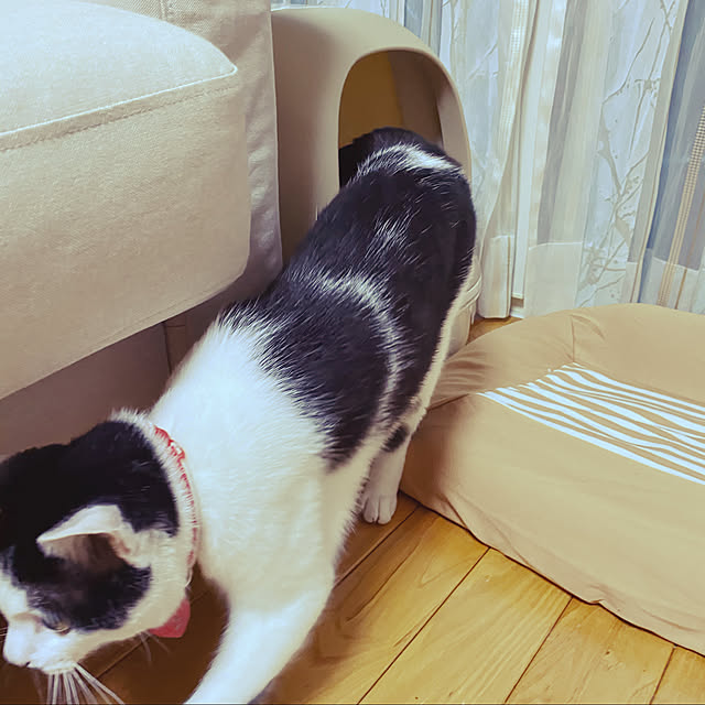 keito814さんの実例写真