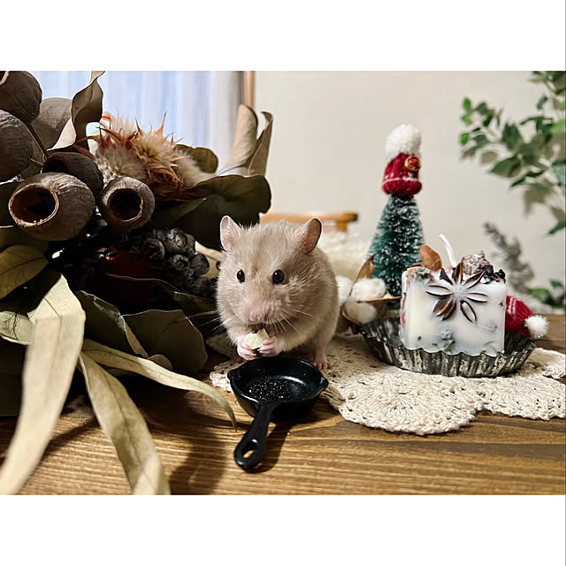 emiさんの実例写真