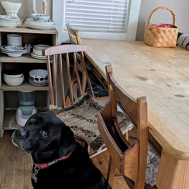 kik375さんの実例写真