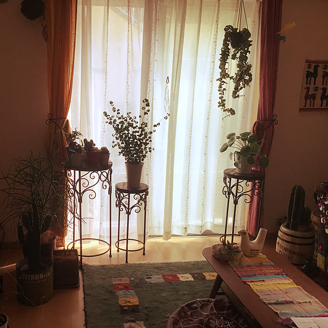 reguさんの実例写真