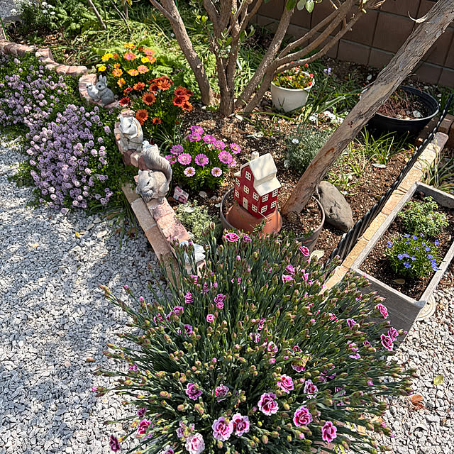 ronronさんの部屋